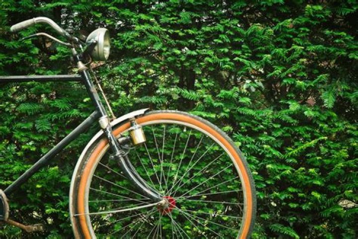 Bicicleta Boa E Barata - How To Discuss