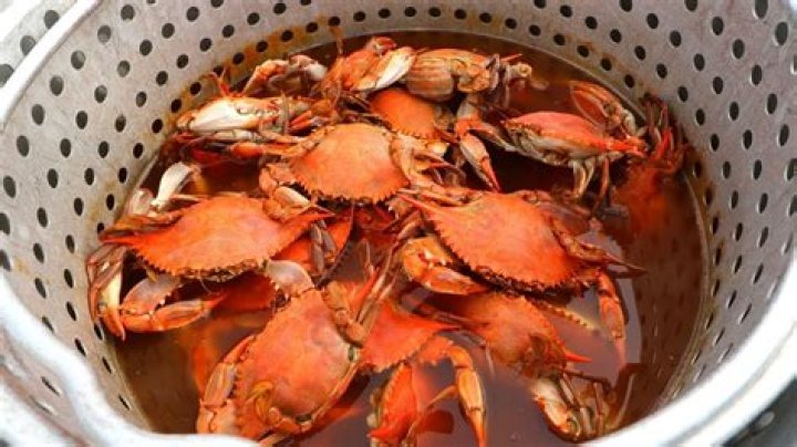 blue crab boil