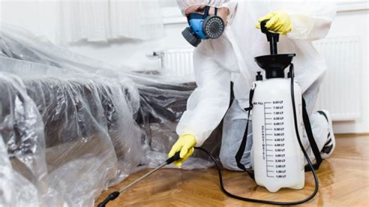 bug exterminator near me