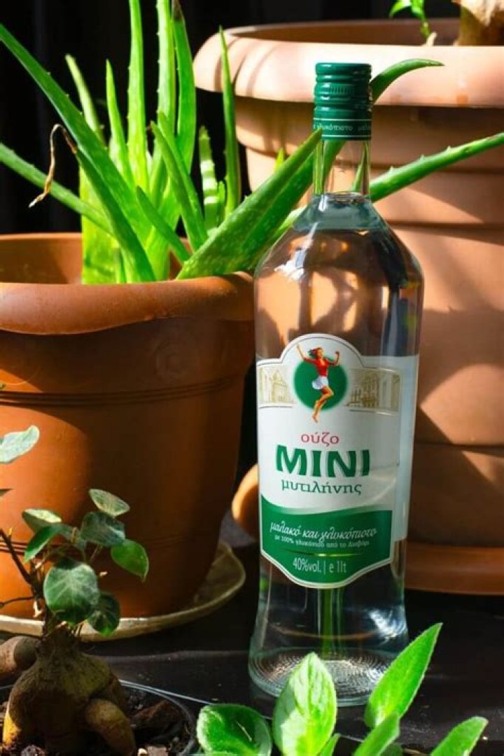 Can I substitute ouzo for Pernod?