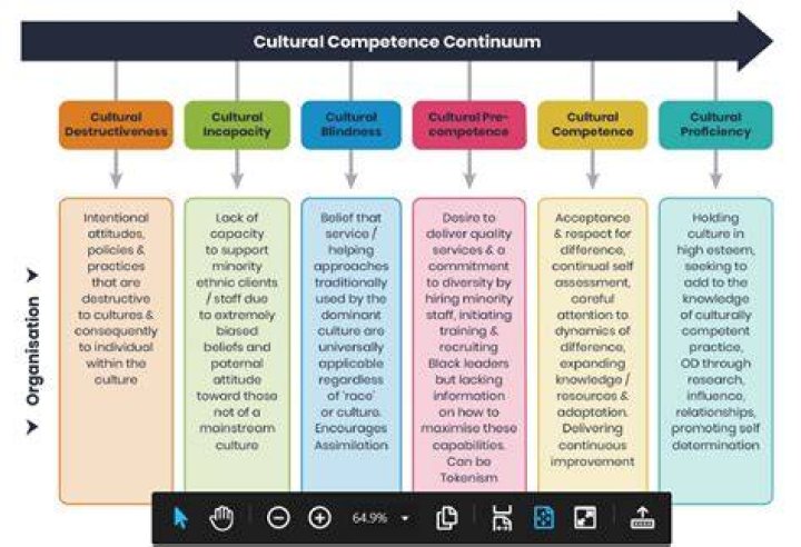 Cultural competency - How To Discuss