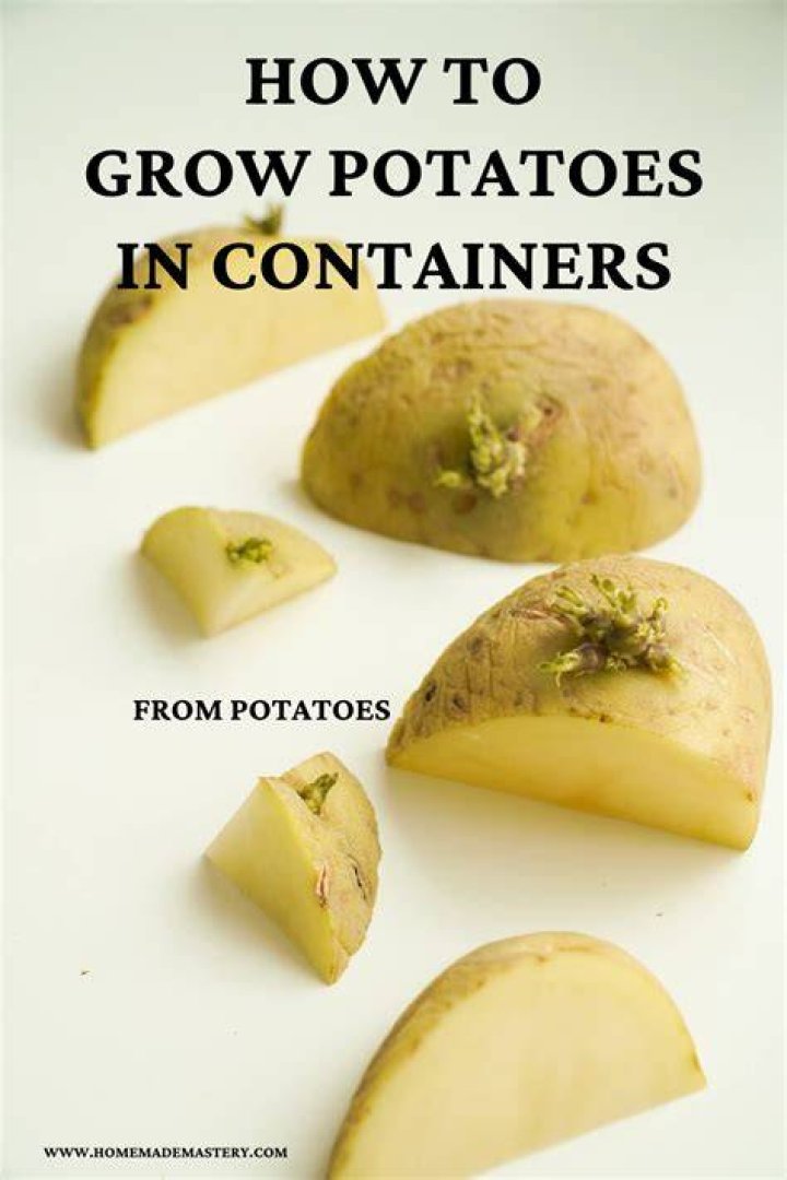 How do you grow potatoes naturally?