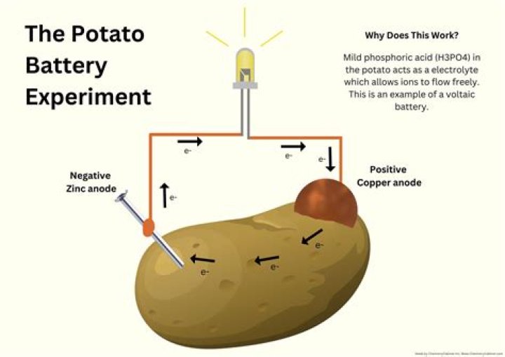 How does a potato give off energy?
