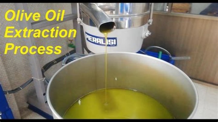How is oil extracted from olives?