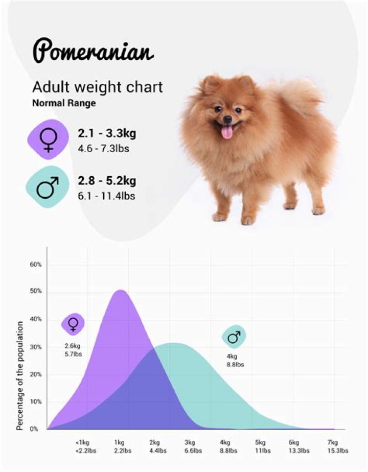 How Long Does 3kg Puppy Food Last