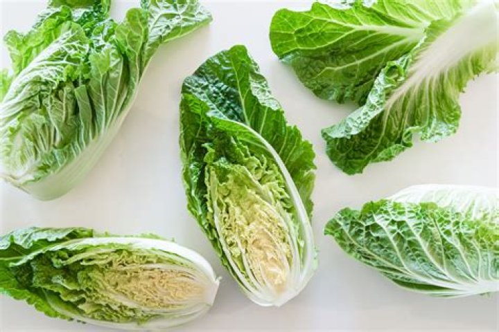 How long is Napa cabbage good for