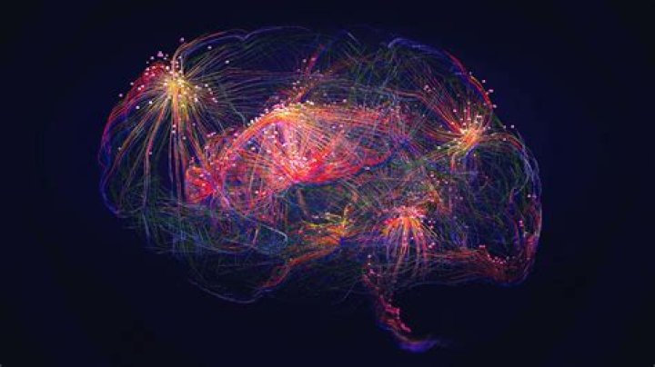 How many neurons are in a hidden layer