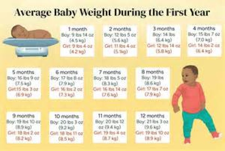 How Much Should A 1 Year Old Weigh