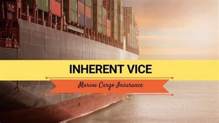 Inherent Vice Exclusion - How To Discuss