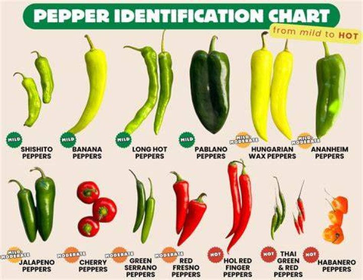 Is Hot pepper a veggie?