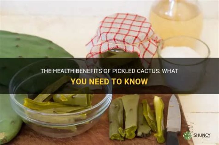 Is pickled cactus good for you