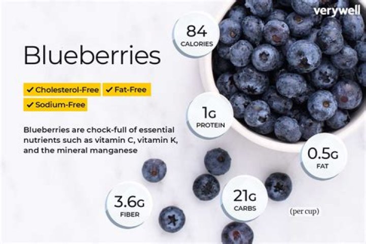 protein in blueberries