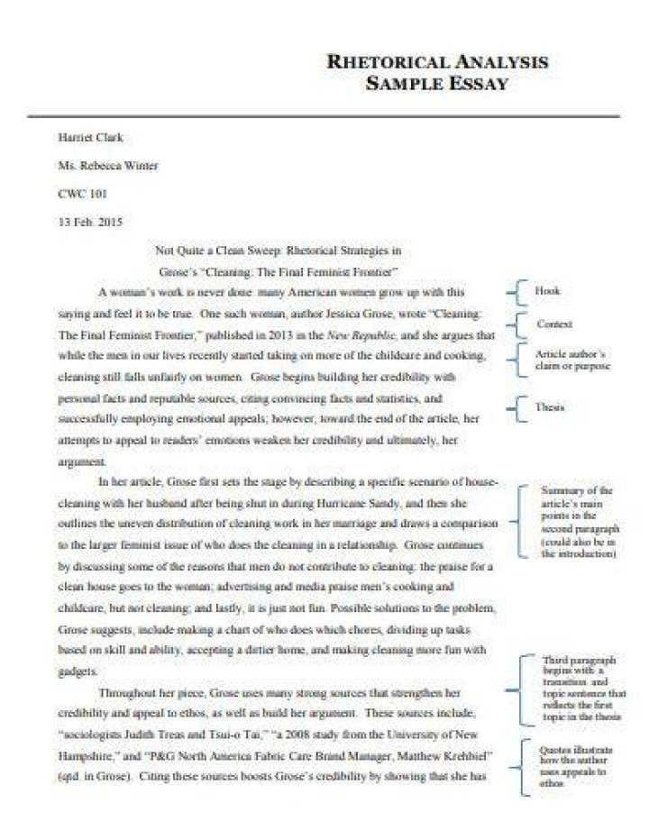 rhetorical analysis essay example