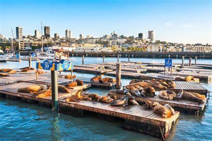 san francisco wharf