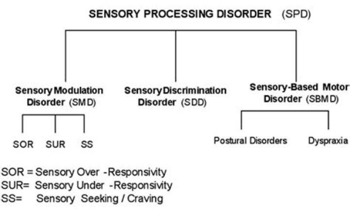 What are the 3 patterns of sensory processing disorders