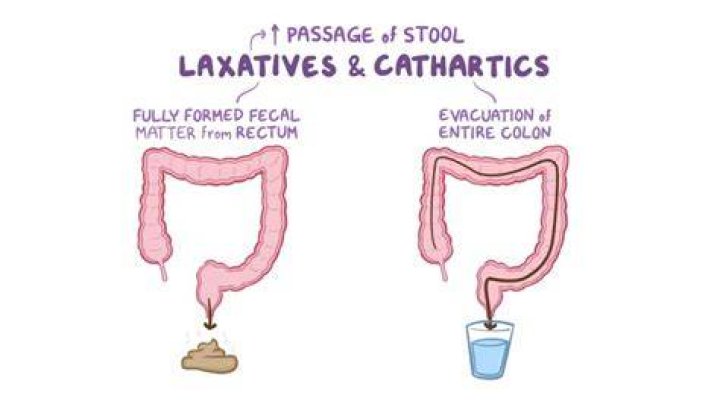 What Does Cathartic Mean - How To Discuss