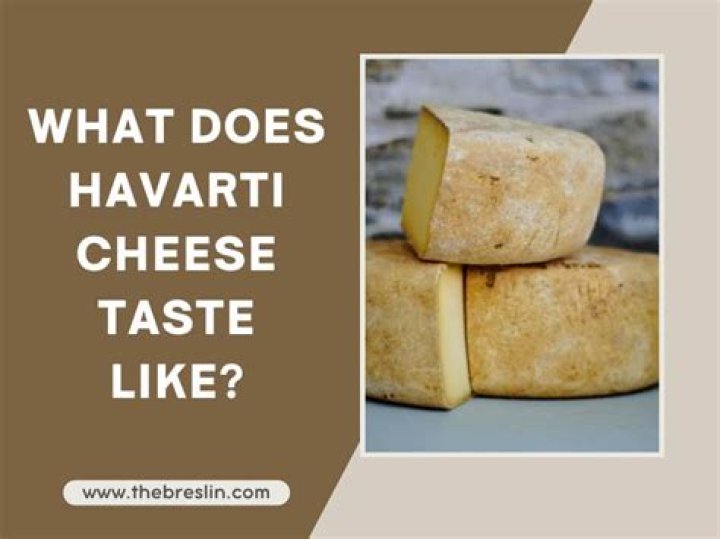 What does Havarti cheese taste like?