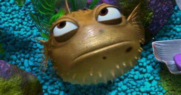 What inflates the puffer fish in Finding Nemo