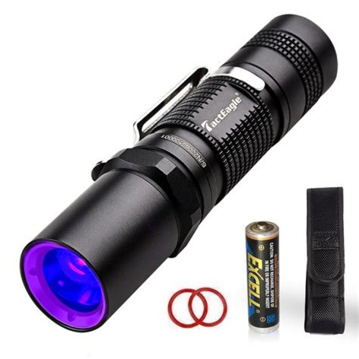 What is a black light flashlight used for