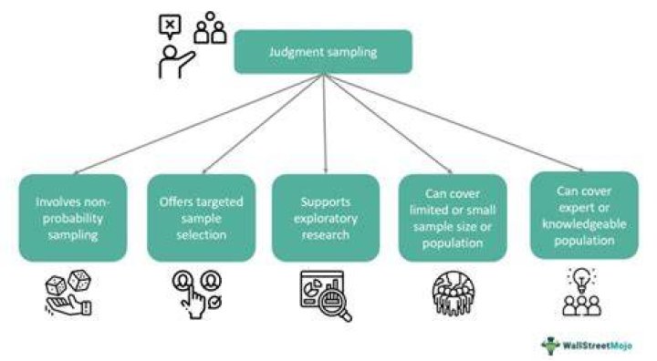 What is Judgement sampling business