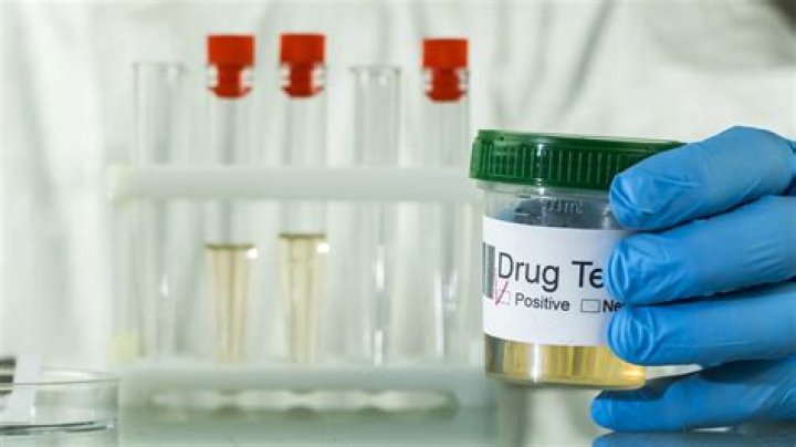 What is the difference between presumptive and definitive drug testing