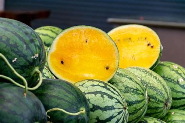 What is the yellow watermelon called