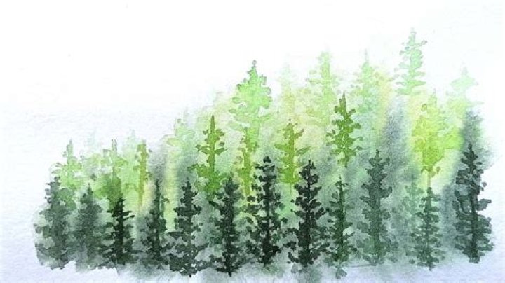 What is wet on dry technique