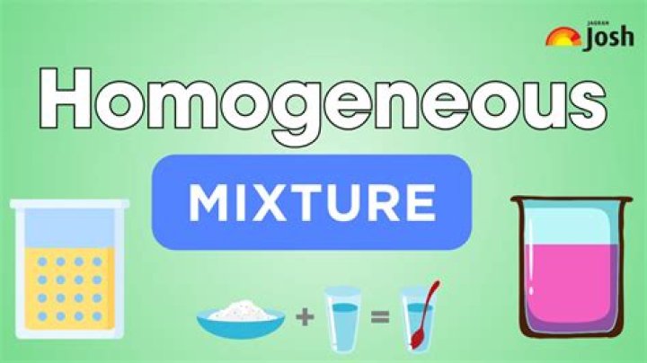 What soup is a homogeneous mixture?