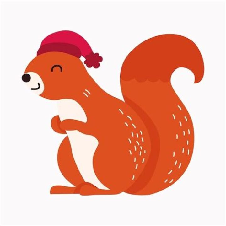 Which animals have bushy tails