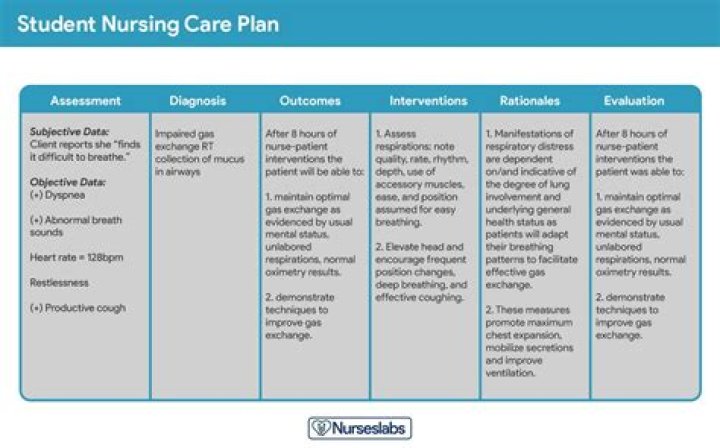 Why Are care plans important in nursing