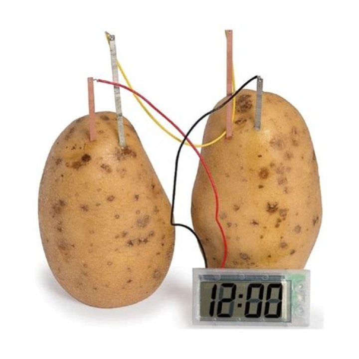 Why can you power a clock with a potato?