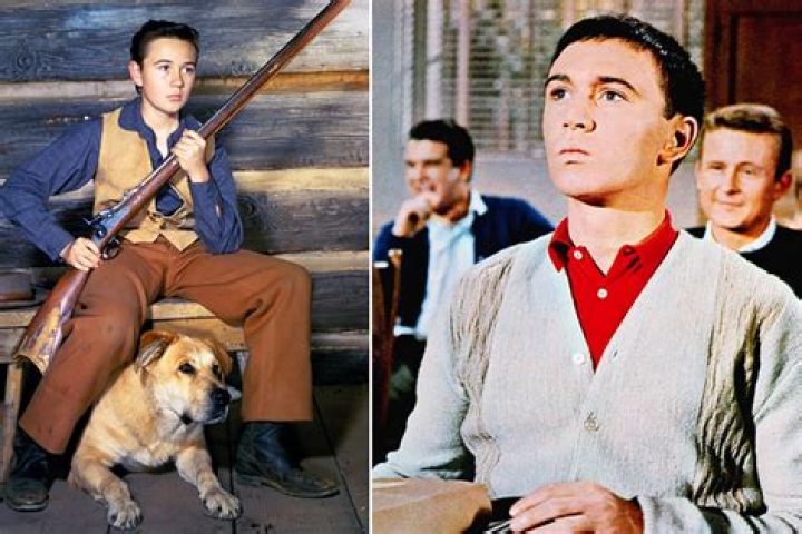 Why did Old Yeller die