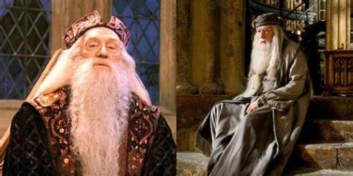 Why do we hate Dumbledore in Harry Potter?