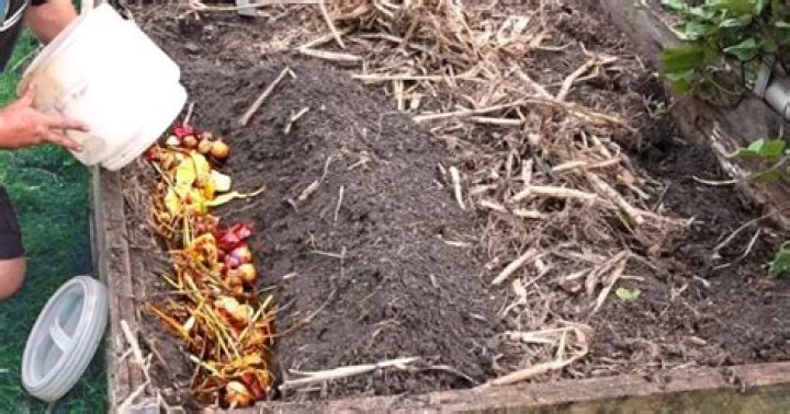 Why is organic matter important